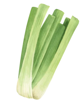 Shape Image