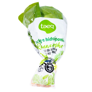 Lechuga Hidropónica Verde Lisa Kosher